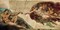 La creazione di Adamo Poster Print by Michelangelo Buonarroti - Item # VARPDX2MB156